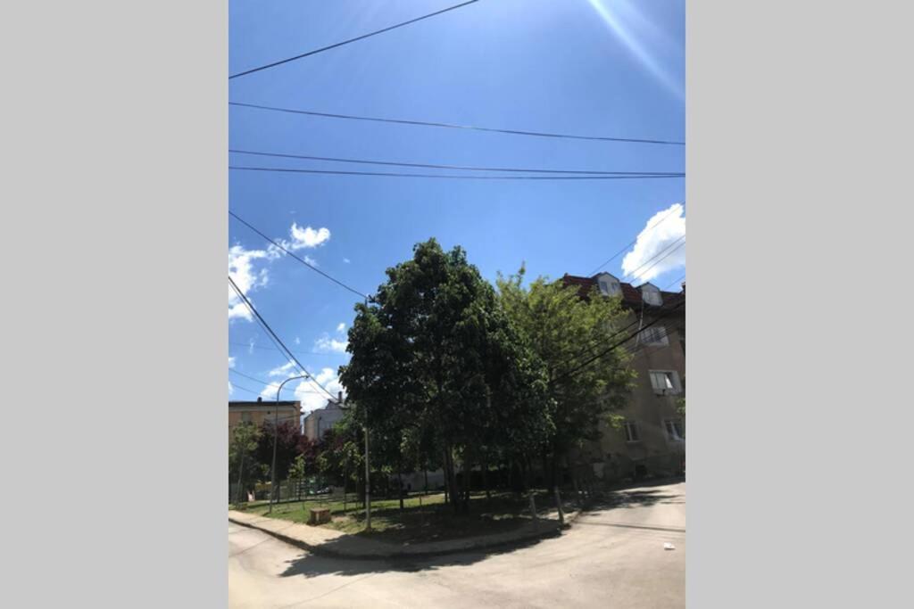 Cozy Apartment In The Old Center Of Prishtina 普里什蒂纳 外观 照片